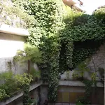Swiss Nassa Garni *