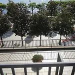 Swiss Nassa Garni Lugano