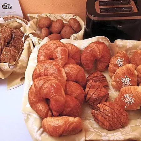 Swiss Nassa Garni