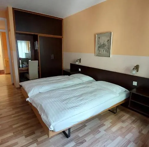 山林小屋 Swiss Nassa Garni 盧加諾