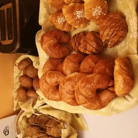 Lodge Swiss Nassa Garni Lugano